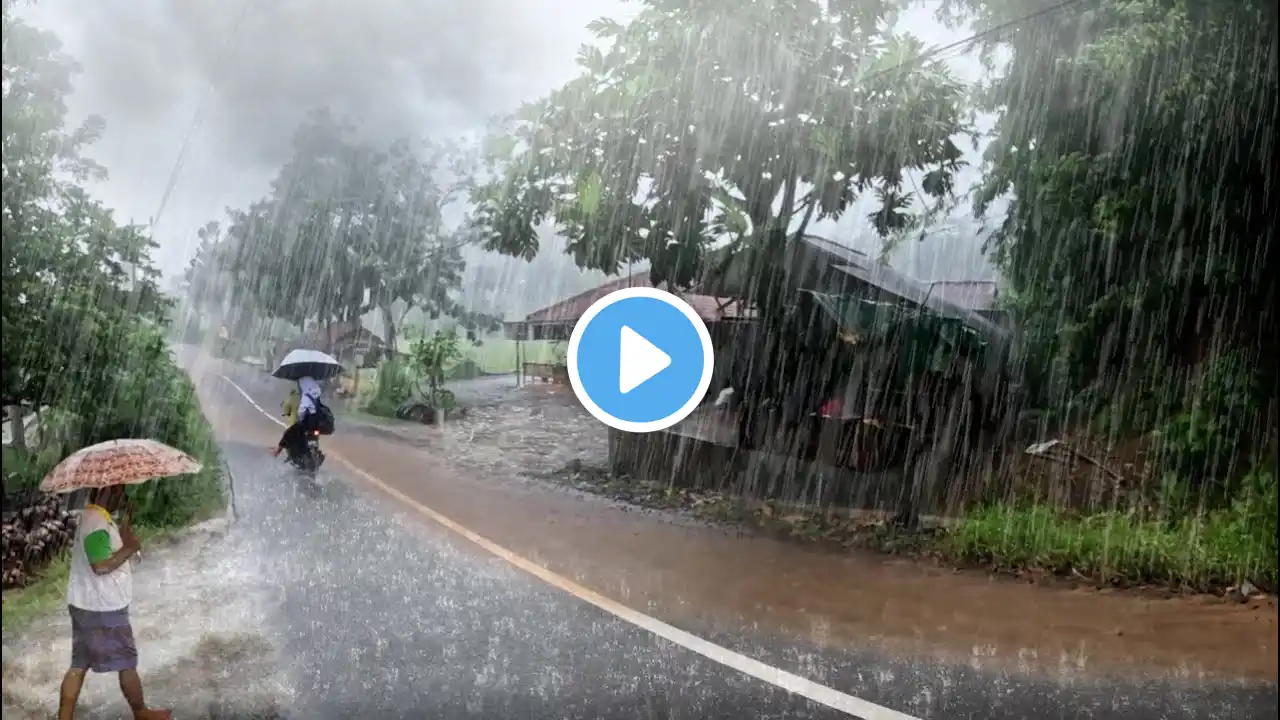 I Walking in Heavy Rain and Thunder in Plateau village | soothing rain sounds for Study & Sleep well