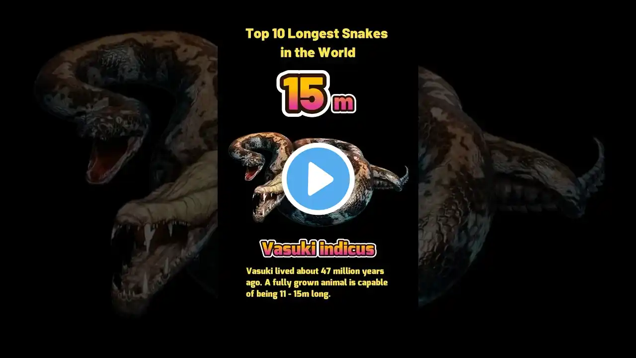 Epic Encounters: Top 10 Longest Snakes You Won't Believe Exist!