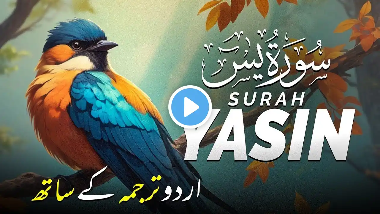 Surah Yasin (Yaseen) Full | سورۃ یس  🕌✨🕌🧡Surah Yasin Full | تلاوة رائعة لسورة يس | Beautiful #quran