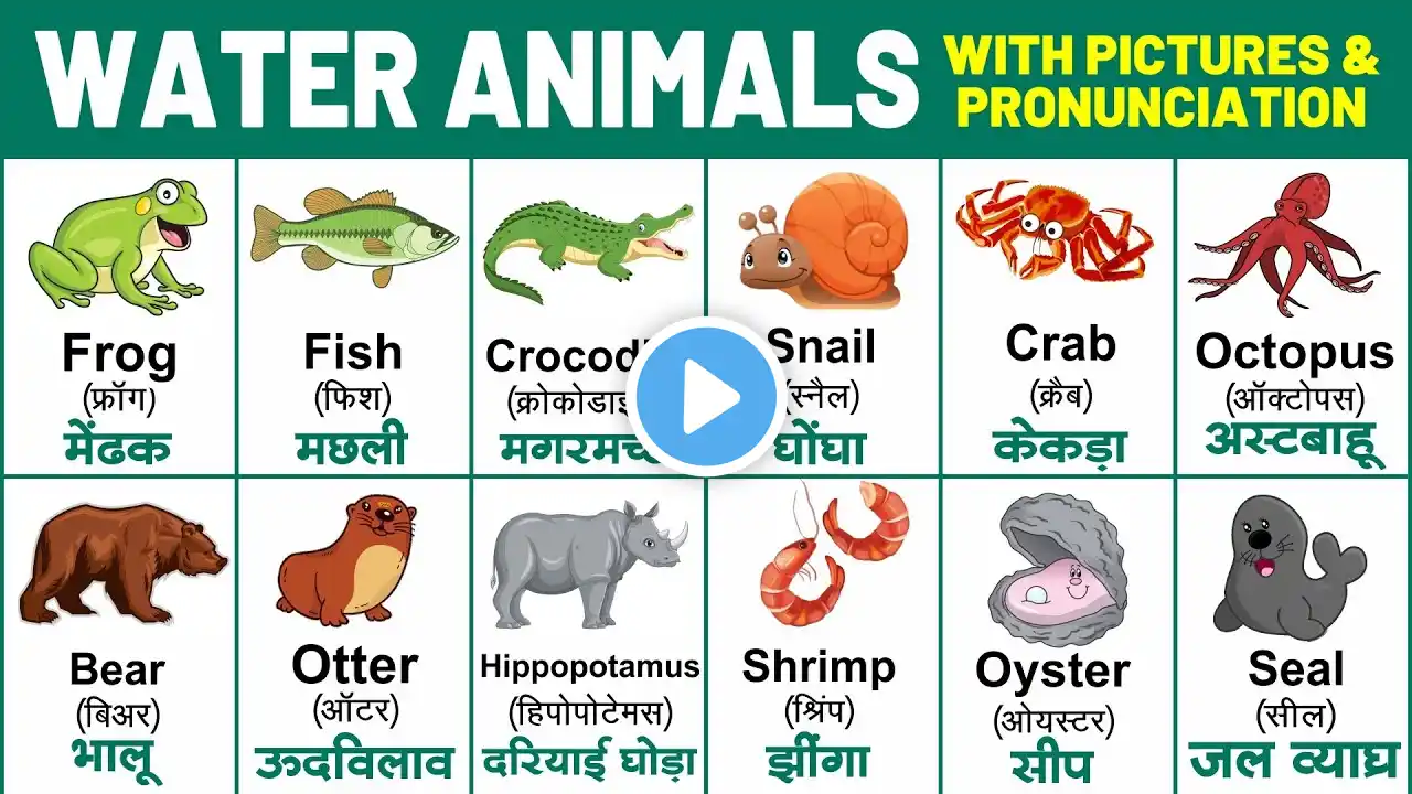 Water animals with spelling | Sea animals pronunciation | water animals name with picture