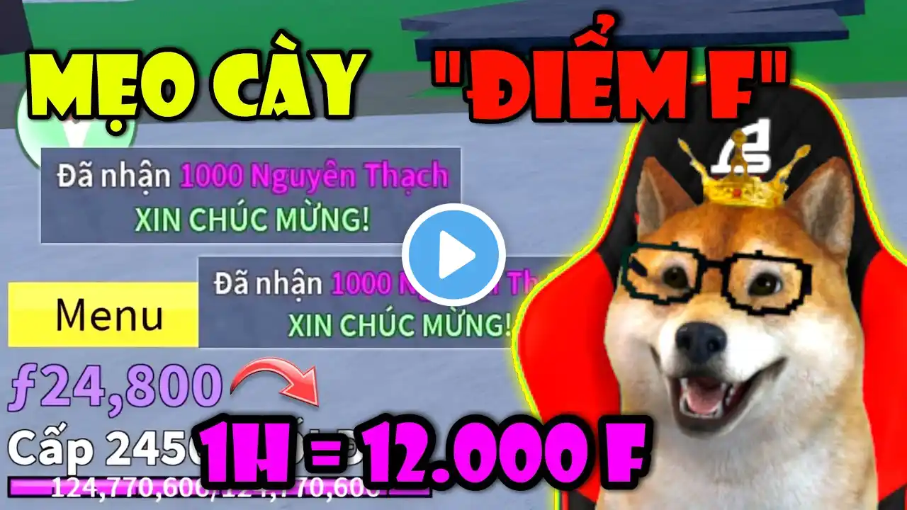 Cách Cày Điểm F (Fragment) Nhanh Nhất Trong Blox Fruit - Fastest Ways To Get Fragments | Roblox