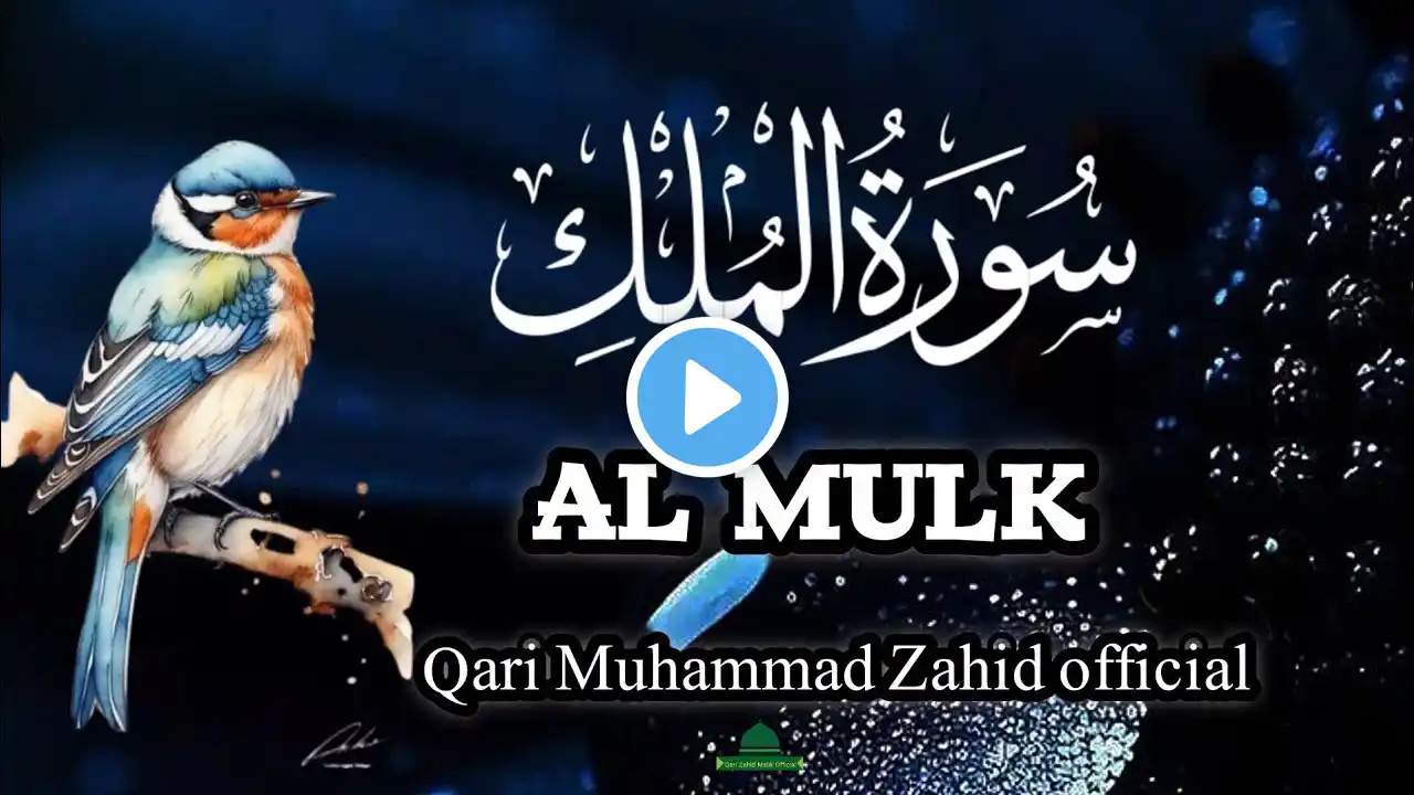 World's most beautiful recitation of Surah Al-Mulk (سورة الملک)  | By Qari Zahid EP:26