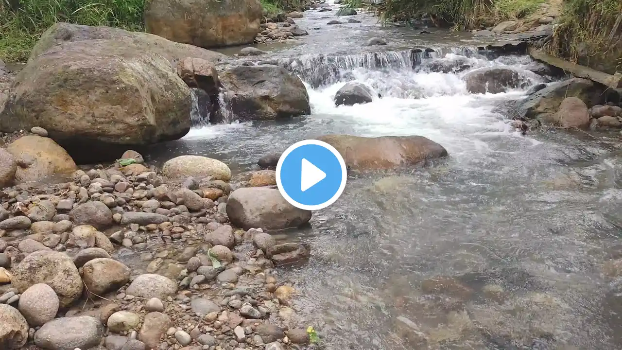 Soothing River Sounds for Meditation and Focus: Peaceful Water Ambience for Ultimate Relaxation