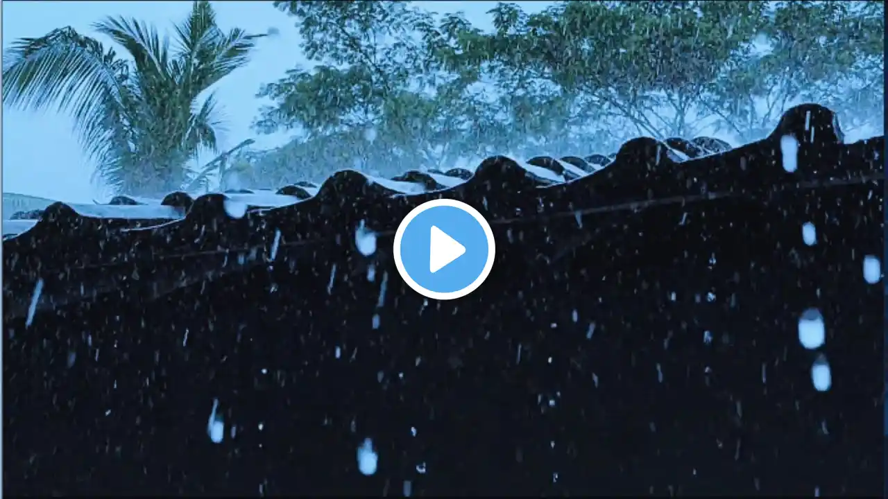Rain on tin roof and Thunder Sounds 24/7 - Thunderstorm for Sleeping | Deep Sleep For Insomnia