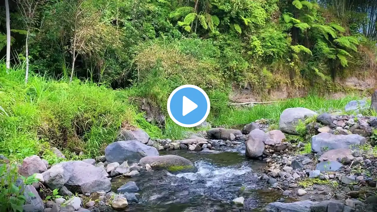 Relaxing Mountain River Sounds Stream Nature Sounds For Deep Sleep, Meditation, Study, Yoga