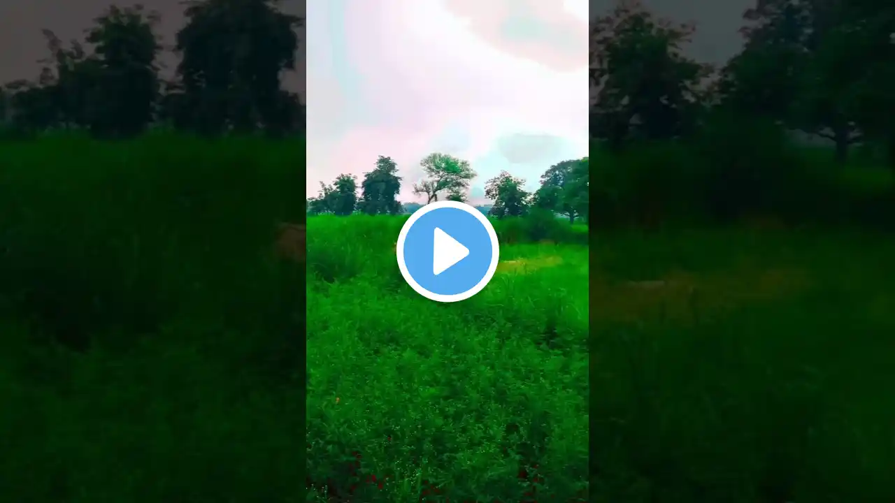 So Beautiful Nature  😍🥰 Village shorts video😍 #shorts #viral #trending #shortvideo  #trendingshorts