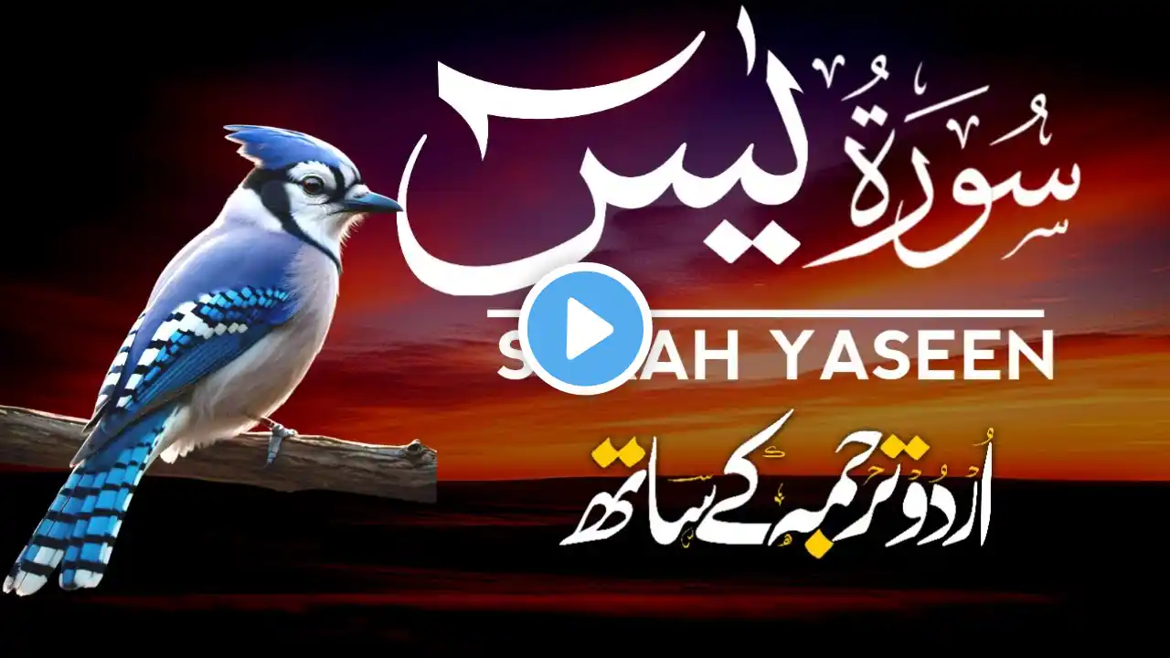 Surah Yaseen | Surah Yaseen  with Urdu Translation | Episode - 175