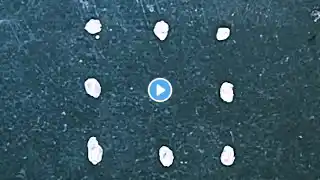 3×3 చుక్కల ముగ్గులు | 3 dots rangoli designs | daily kolam designs @venis_art #3dotsrangoli