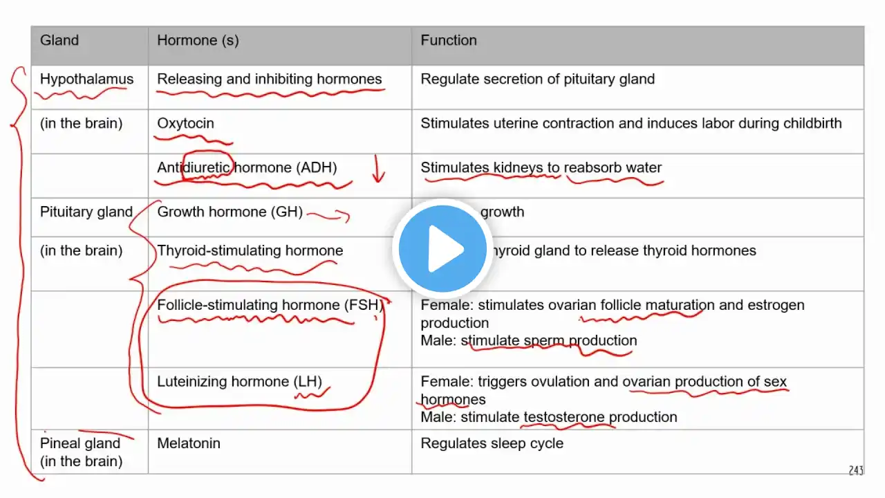 Comprehensive ATI TEAS Science Review Lecture-Endocrine system