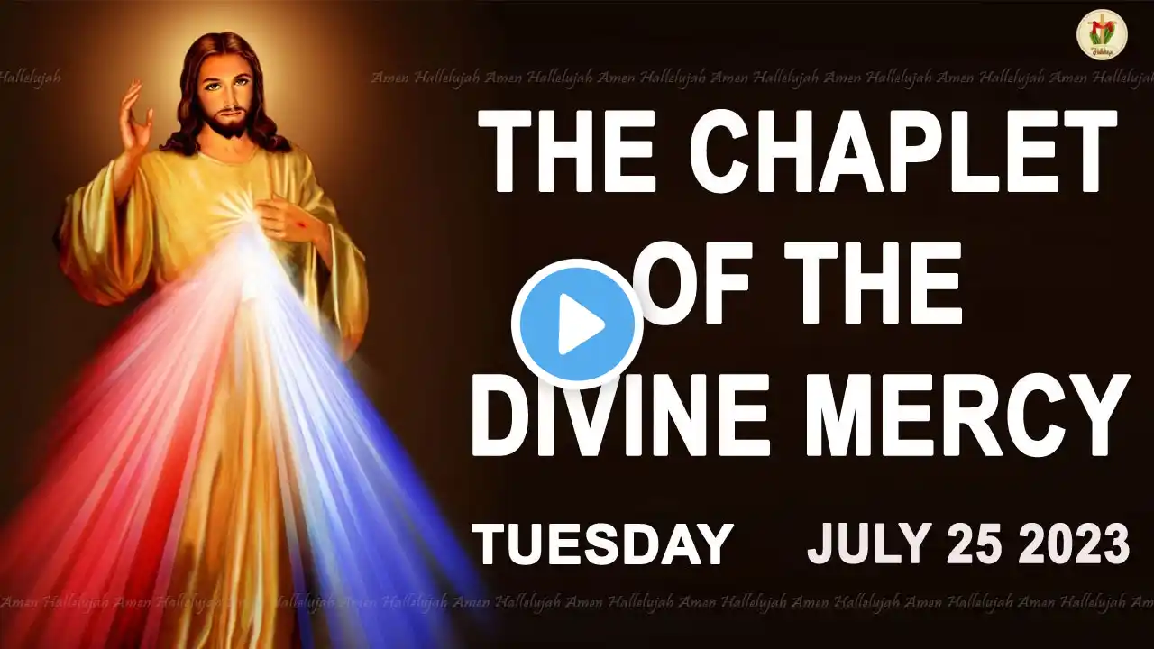 Chaplet of the Divine Mercy I Tuesday July 25 2023 I Divine Mercy Prayer I 12.00 PM