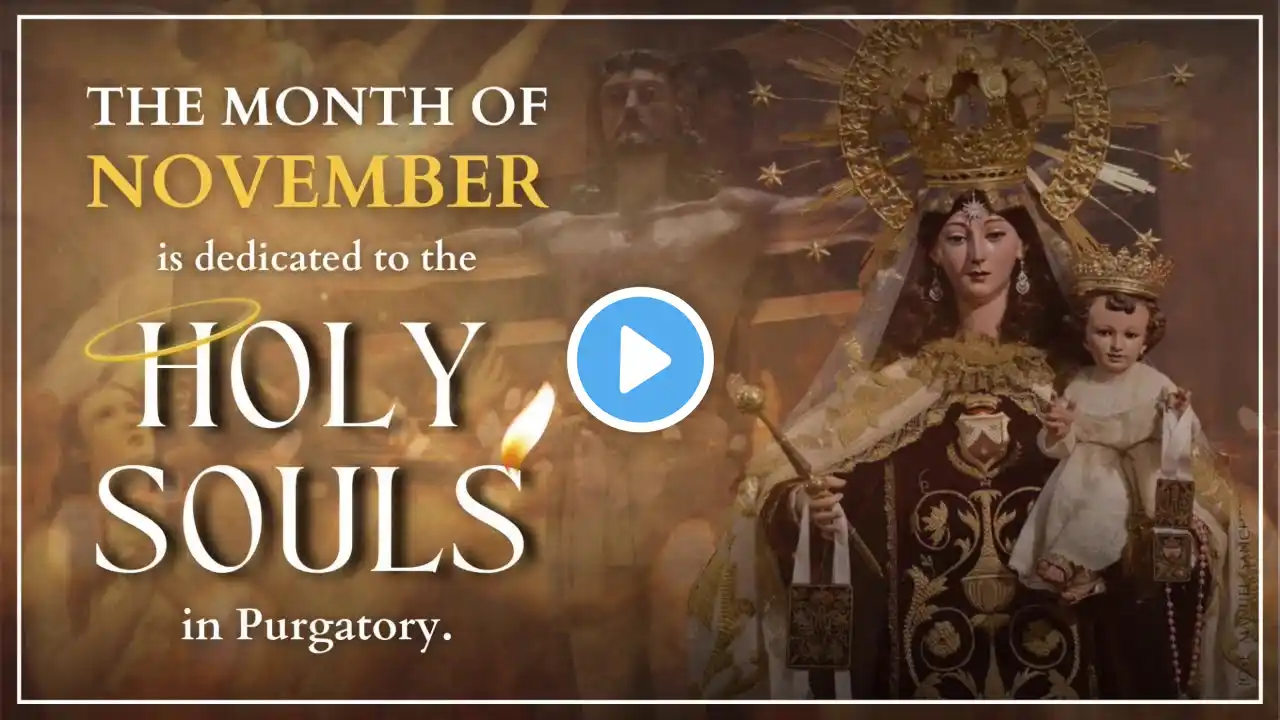 LIVE NOW | November 5, 2024 | 6:30 AM | Tuesday of the Thirty-first Week in Ordinary Time