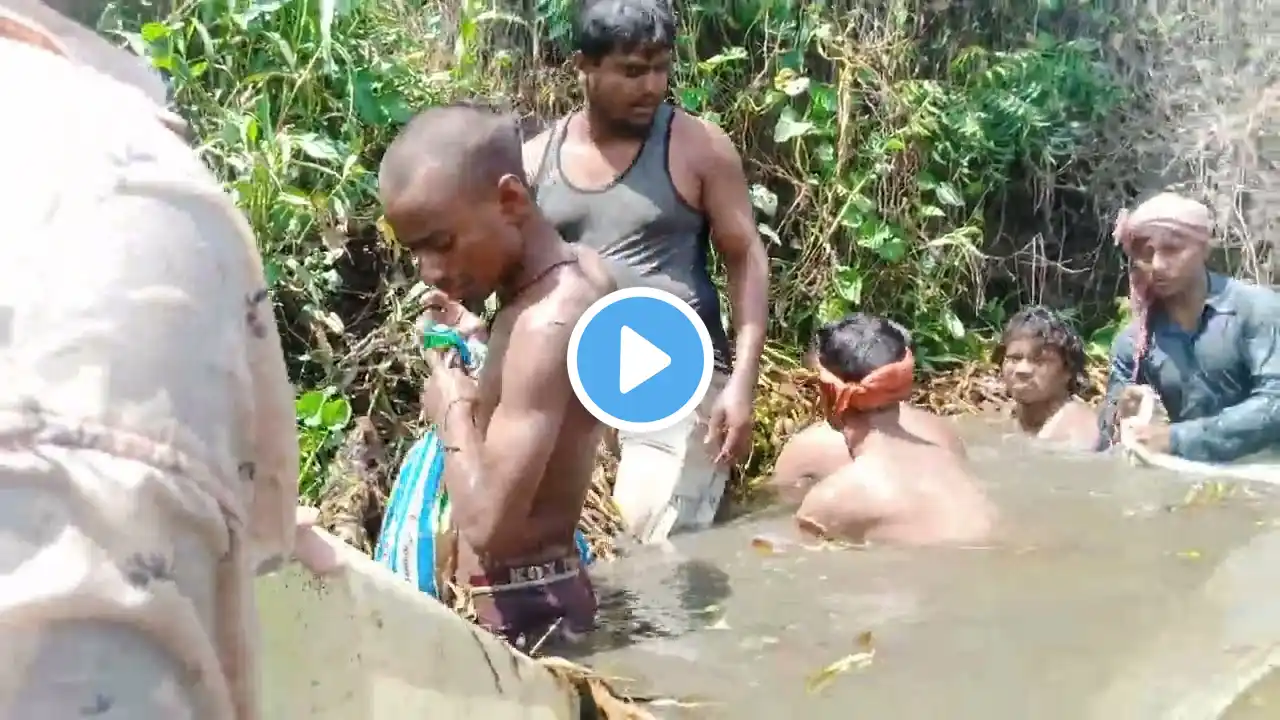 we have gone to the river to catch fish.#viralvideo #video #viral #fish #fishingtechniques 🐟🐟🐟🐟🎏