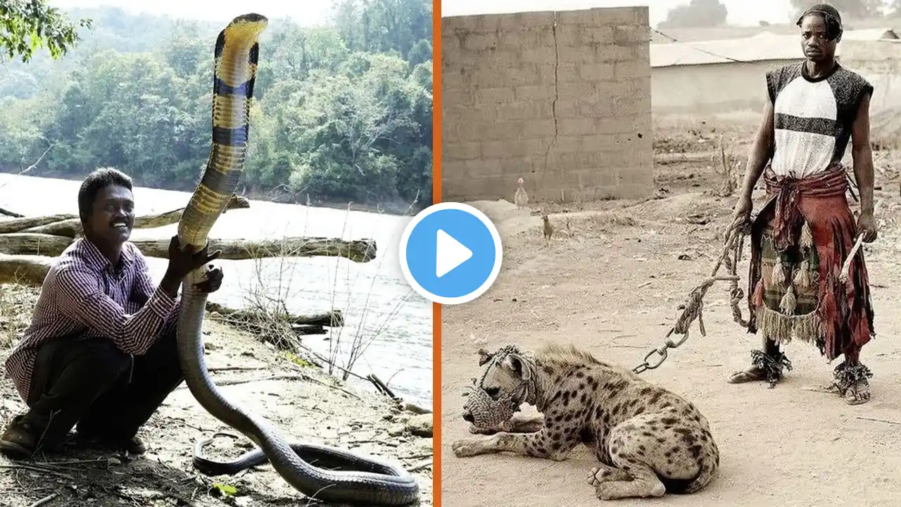 Top 10 Most Dangerous Animals People Own As A Pet