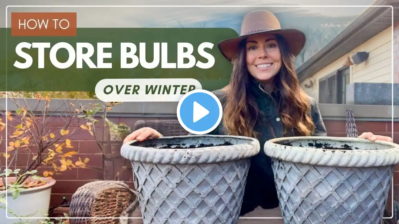 How to Store Bulbs Over Winter (in Pots)