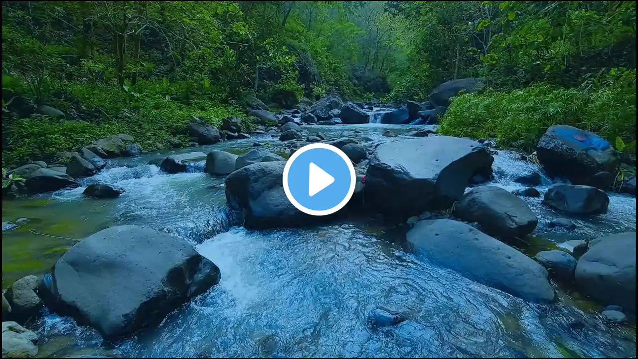 Peaceful River Flow: Sleep Through the Night with Tranquil Sounds