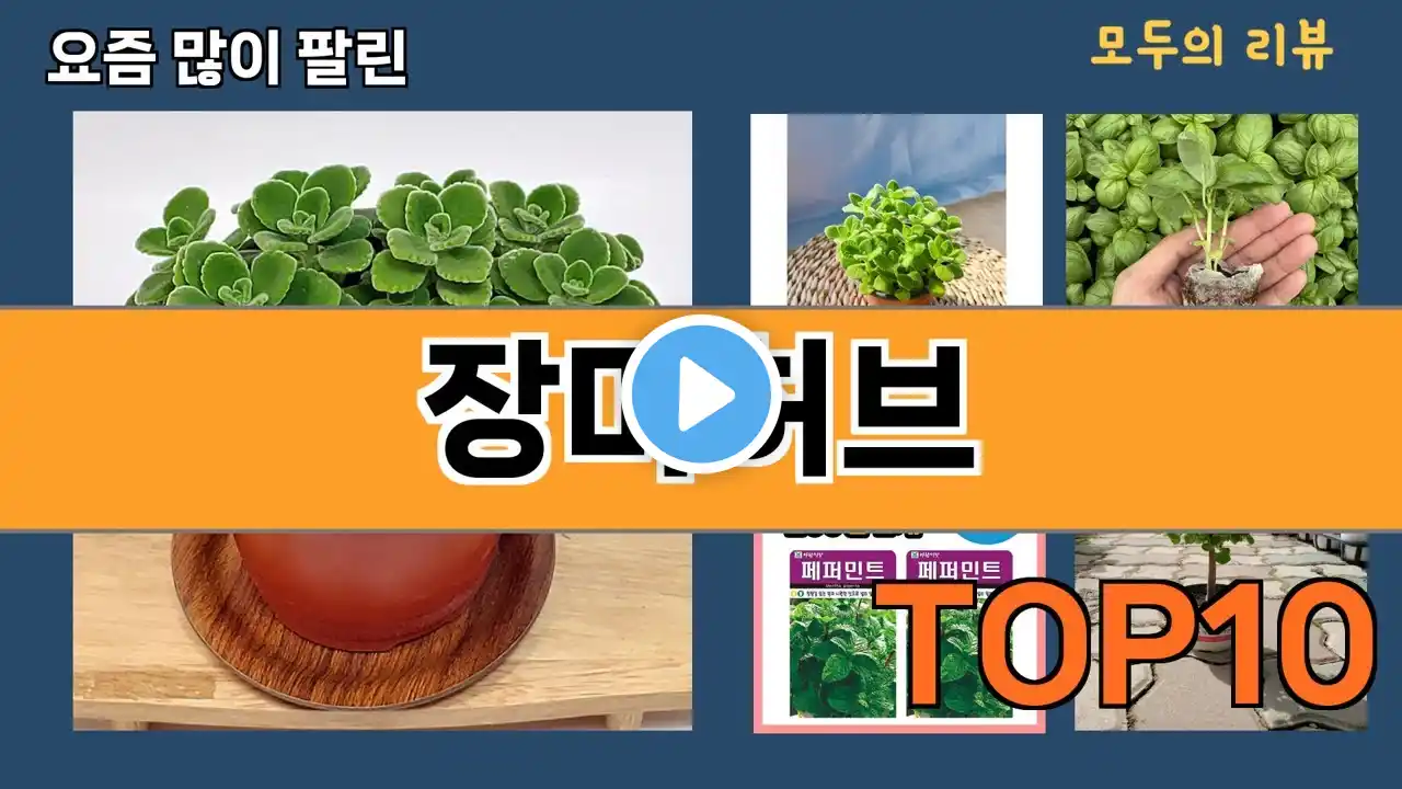 가장 많이 팔린 장미허브 추천 Top10!