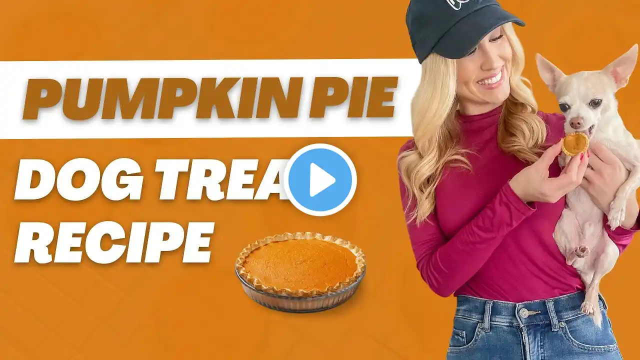 Mini Pumpkin Pie Dog Treat Recipe | Proud Dog Mom