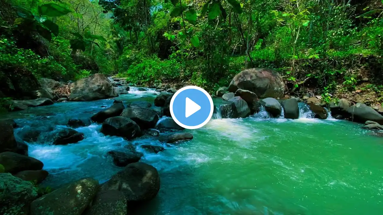 Waterfall Gentle Stream Sound in forest. Waterfall Sounds, Flowing Water, White Noise for Sleep 14