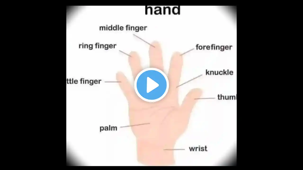 🖐️🖐️Do you know Hand's Finger #shorts #shortvideo #viralvideo #viralshorts #learning #learn #video