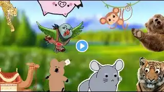 4K Video voiсe and sound of animals: camel, tiger, lion, chinchilla, cheetah, pig, monkey, beaver.