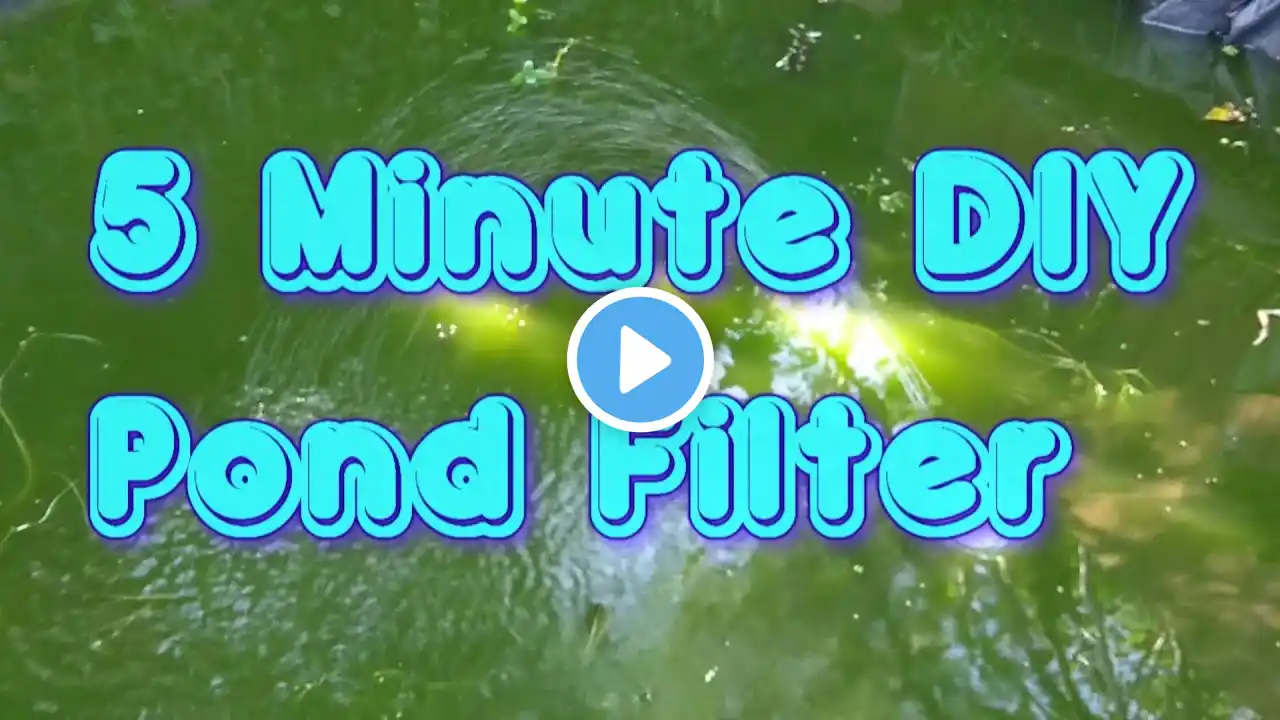 A Quick and Easy Pond Filter for a small pond - 5 Minute DIY Project