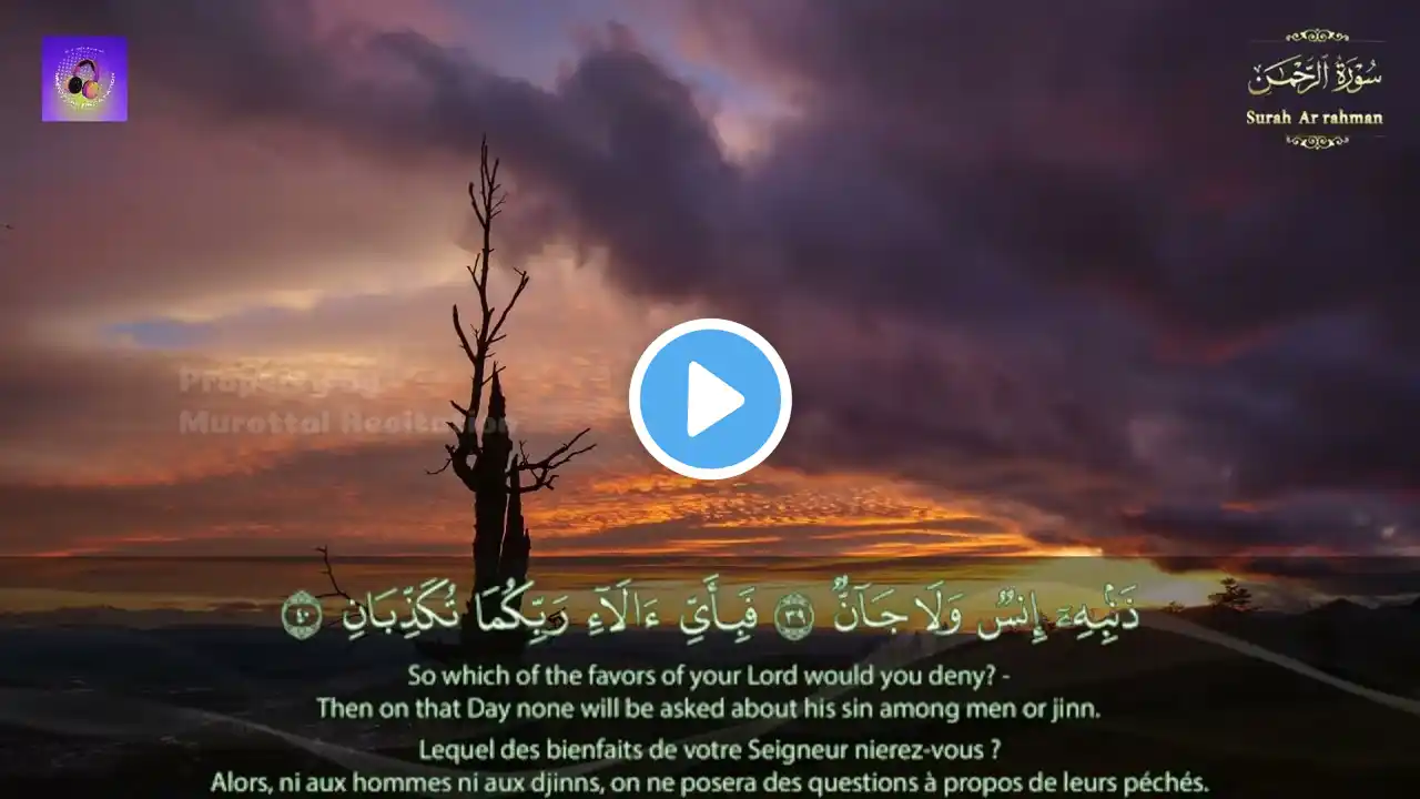 SURAH YASIN, AL MULK, AR RAHMAN, AL WAQIAH NON STOP TANPA IKLAN Saad Al Ghamdi