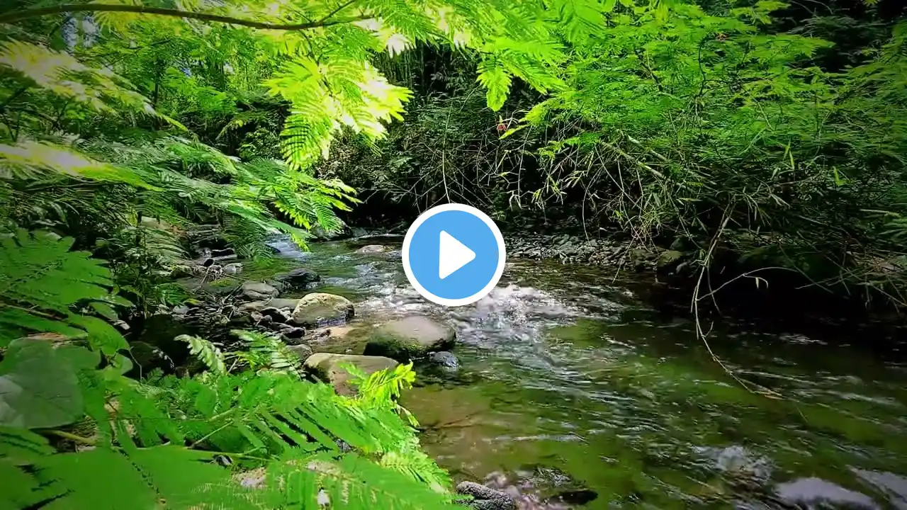 creek sounds, babbling brook, beautiful nature sounds for sleeping, relaxing white noise, meditation