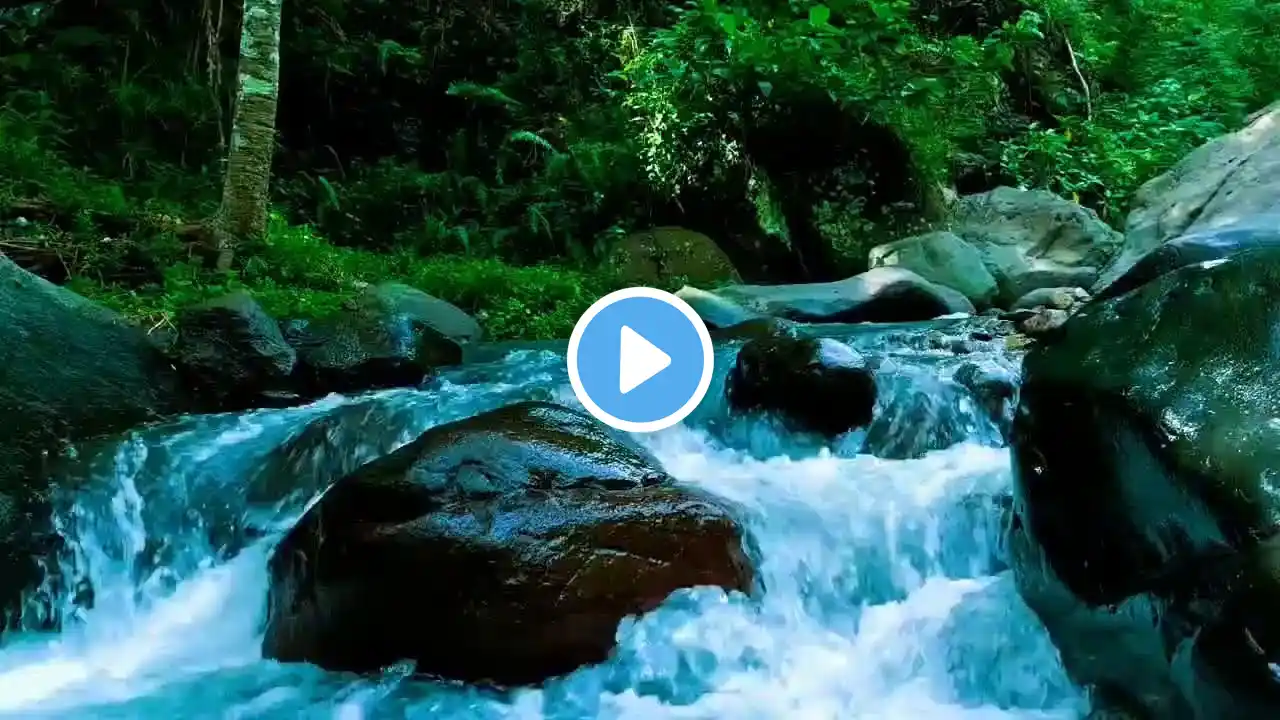 Relaxing River Sooting Sound gentle water sound white noise for deep sleep for Meditation