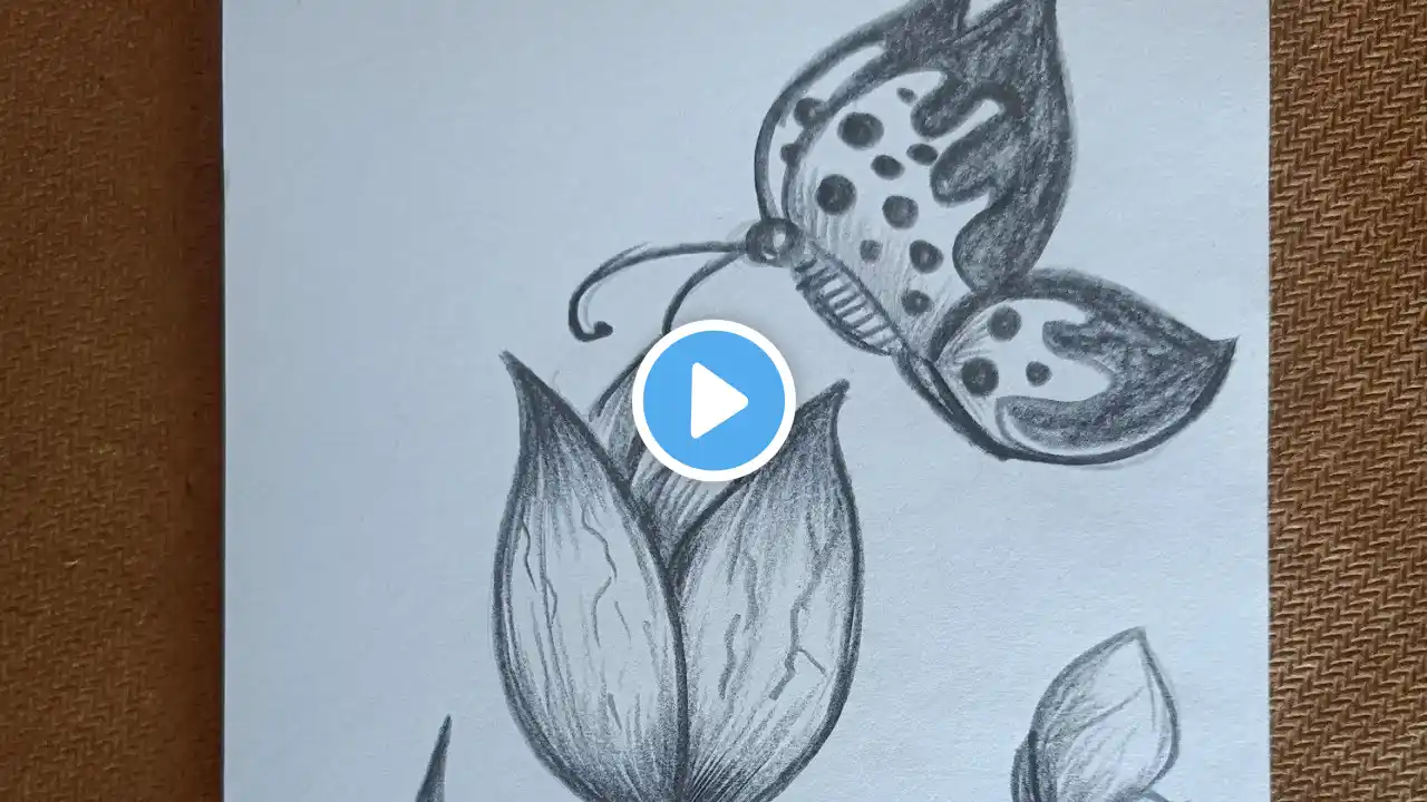 Flowers and Butterfly drawing easy || Flowers and Butterfly pencil sketch ||