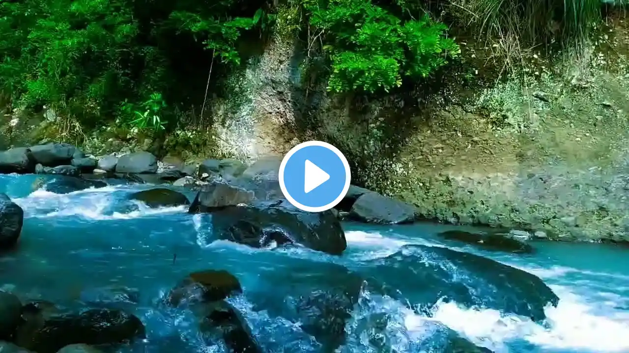 natural sound of river in the forest , white noise , stress relief , good bye stress , deep sleep