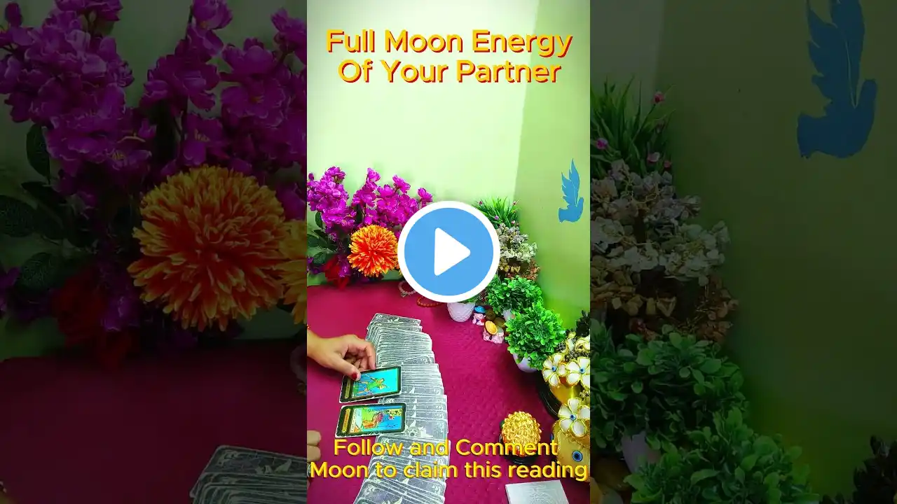 🌟Full Moon Energy of Your Partner?🌟 | Tarot Card Reading #currentfeelings