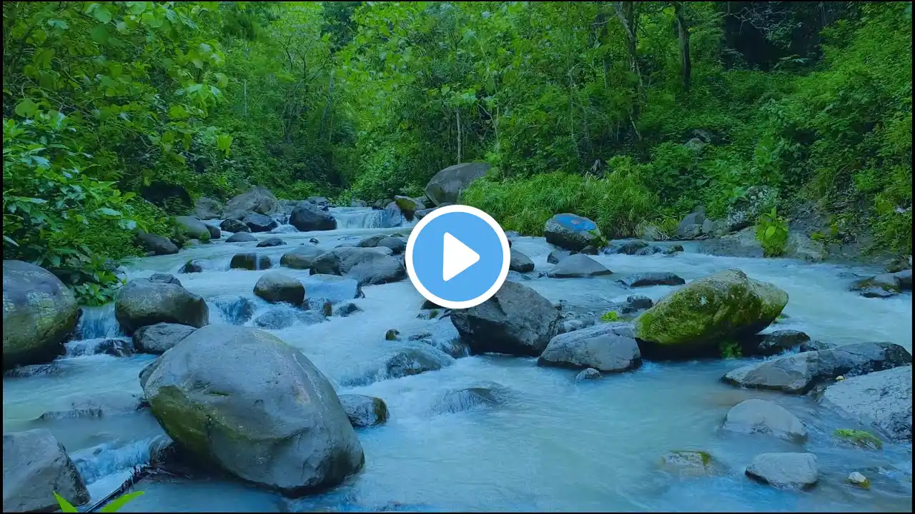 Fall Asleep to the River:  Nature Sounds for Insomnia Relief