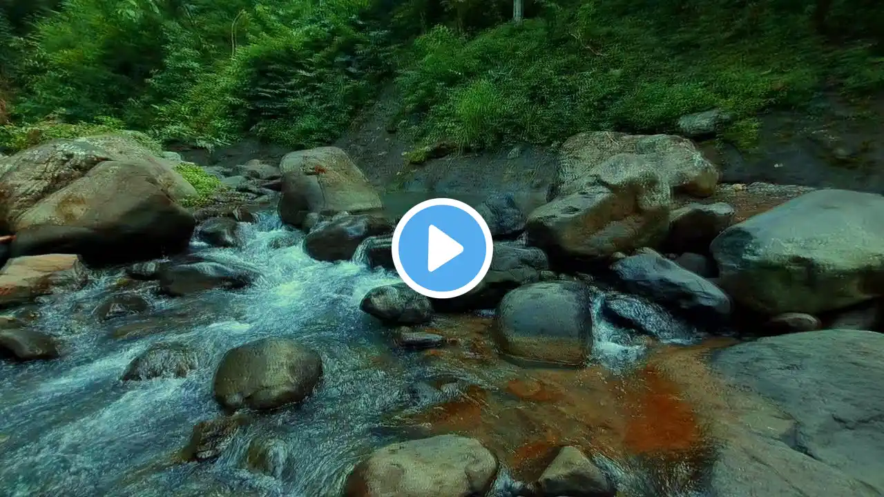 "Calming River Sounds for Emotional Balance & Mindfulness"