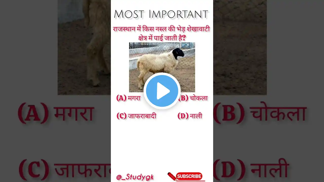 GK important questions ||GK Hindi|| #gk short video#