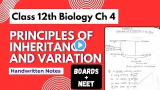 Principles of Inheritance & Variation - Notes PDF || Class 12th Biology Chapter 4 Handwritten Notes