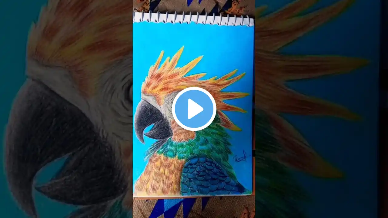 Realistic parrot drawing 🔥👍😱 #art #drawing #shorts #ytshorts #viralshorts