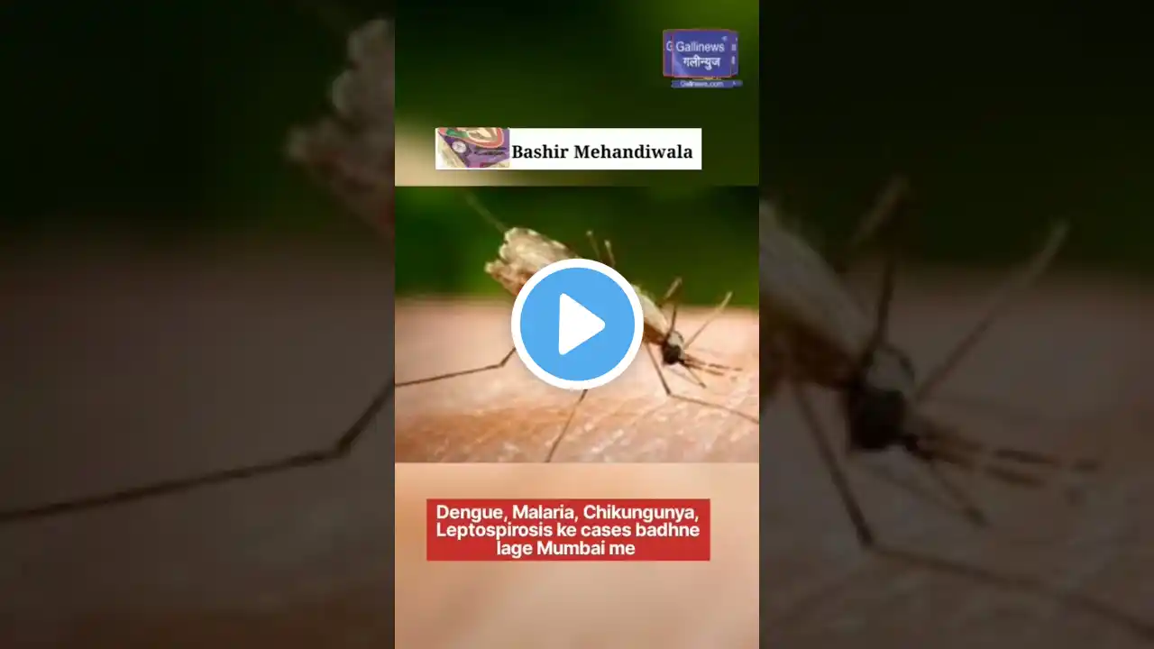 Dengue, Malaria, Chikungunya, Leptospirosis Ke Cases Badhne Lage Mumbai Me