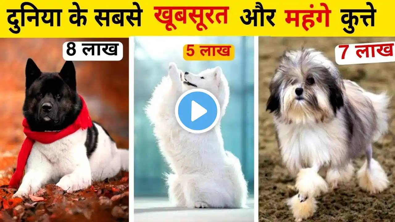 दुनिया के सबसे महंगे कुत्ते | world's most expensive dogs
