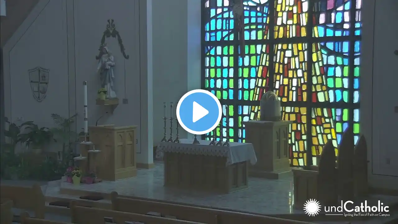 25 April 2021: Fourth Sunday of Easter Mass