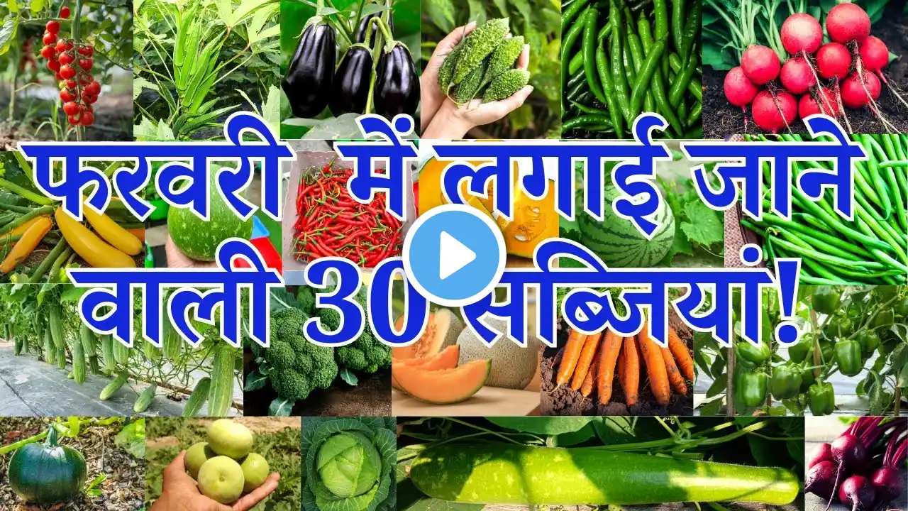 फरवरी में लगाई जाने वाली सब्जियां | February me konsi sabji lagaye | February Month Vegetable