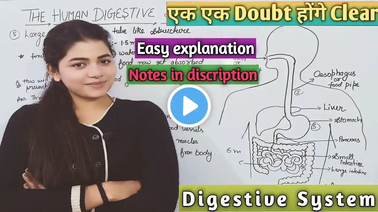 Human Digestive System | मानव पाचन तंत्र | Full And Easy Explanation | Life Process | Class 10th