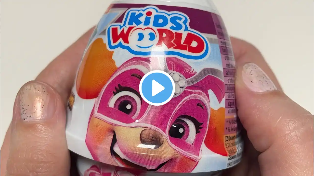 KIDS WORLD SURPRISE PUDDING CHOCOLATE VANILLA PAW PATROL TASTE TEST ASMR MUKBANG