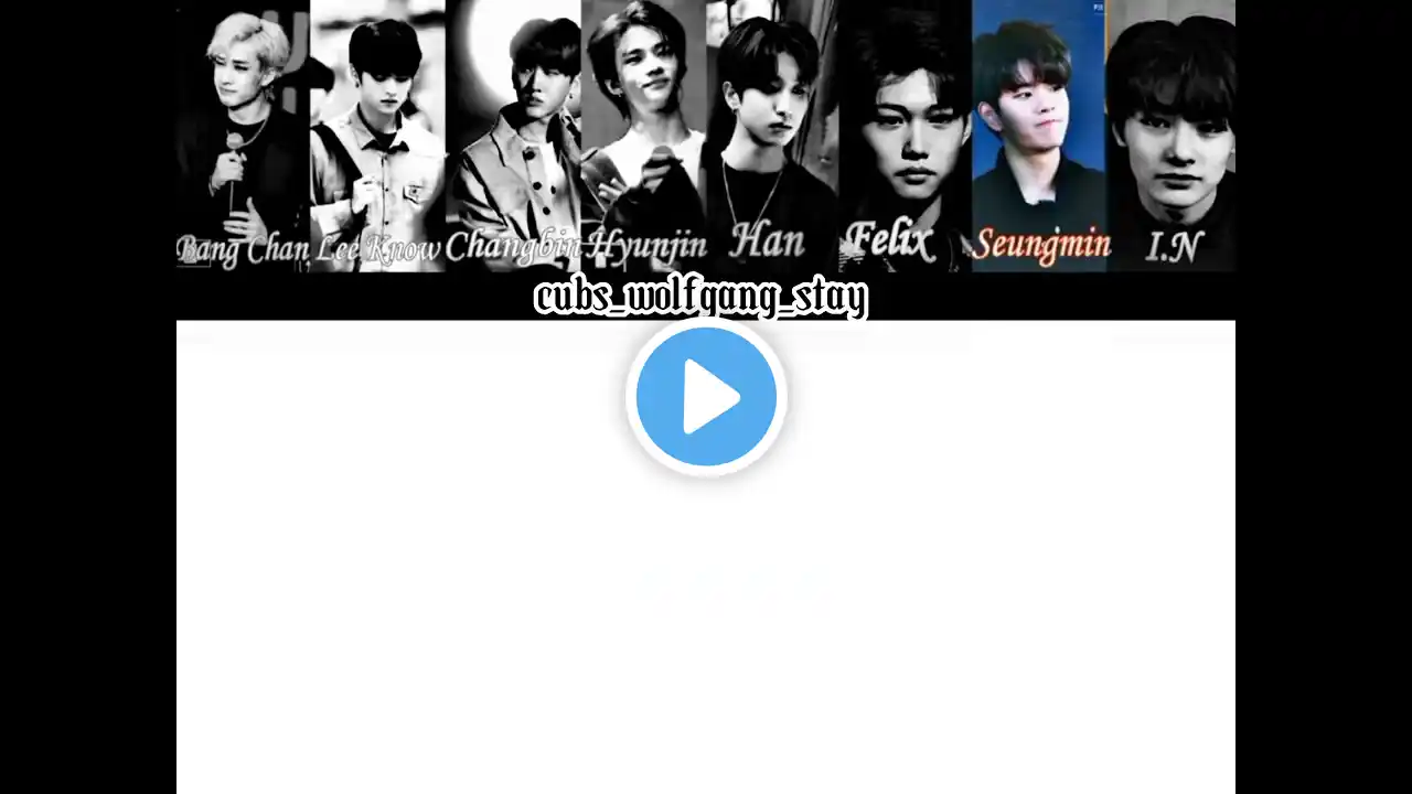 Stray Kids - Silent Cry (Color Coded Lyrics) #straykids #스트레이키즈 #kpopsongs #colorcodedlyrics