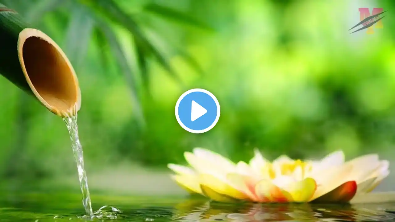 Healing Bamboo Water Fountain, Nature Sounds, Relaxing Music, Deep Sleep Music, Meditation Music