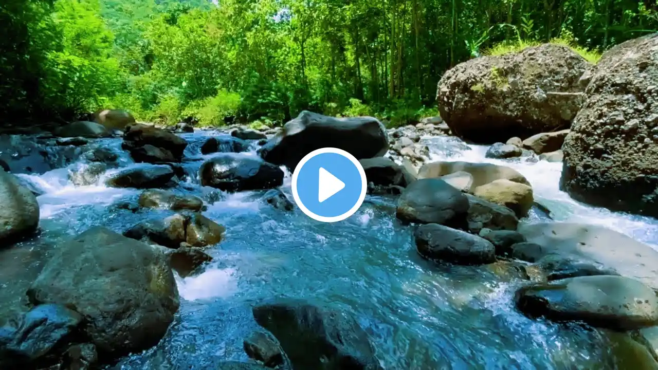 Breathe & Relax! 🌊 Crystal Clear River Sounds for Anxiety Relief