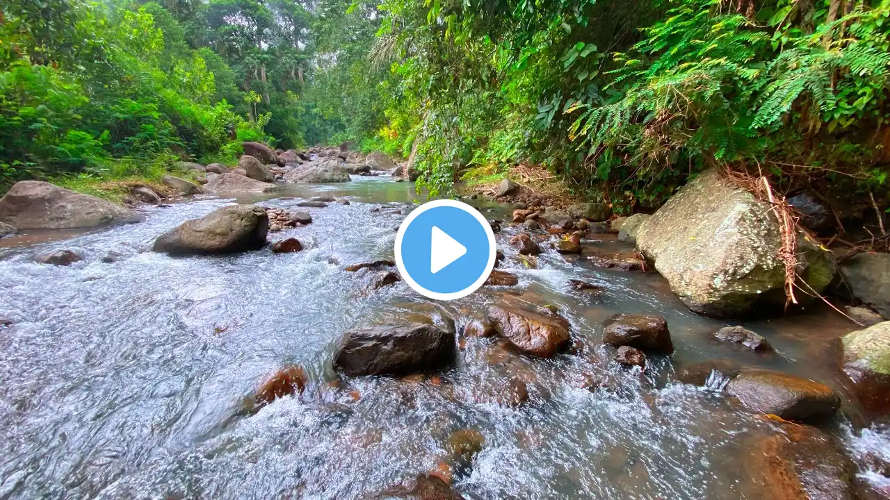 Calming River Sounds with Close-up Water Stream to Overcome Fatigue So You Can Sleep Immediately