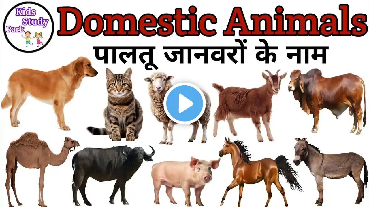 Domestic Animals Name in Hindi and English | पालतू जानवरों के नाम | Pet animals name