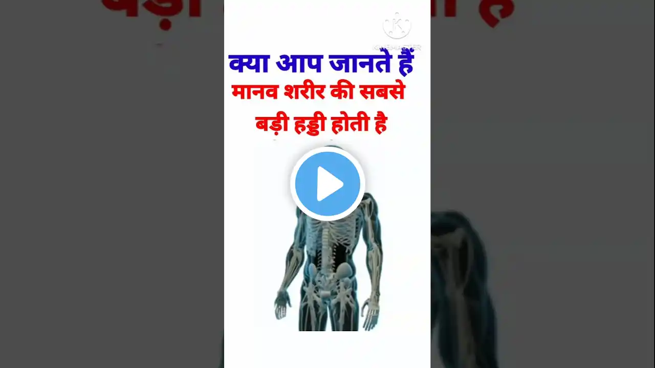 मानव शरीर की सबसे बड़ी हड्डी होती है?|Largest Bone Of Human Body || #gks #gkquestion #gk #gkshorts