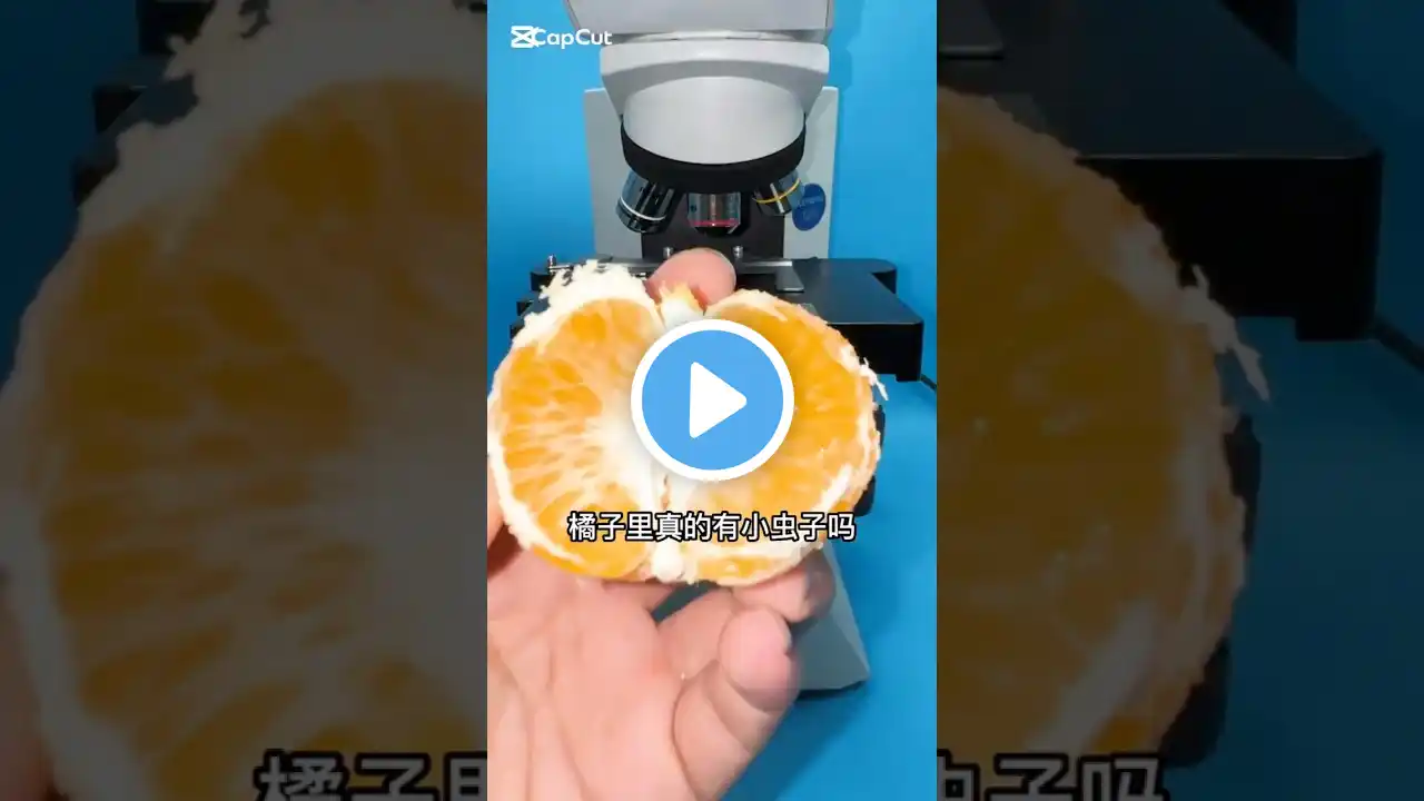 Microscope with Orange 😱😱 #shorts #shortsfeed #orange #microscope #healthyfood #healthtips #trending