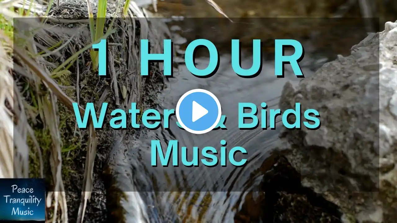 #22a Water Sound and Birds | 1 Hour | Meditation Music, Sleeping, Yoga Music, Spa Music, Study Music